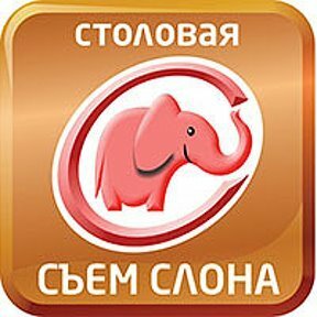 Съем слона в Минусинске